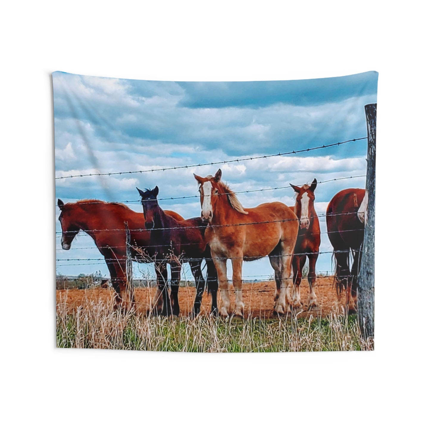 Blanket Rustic Horse Photography Wall Tapestry | Equestrian Decor for Horse Lovers, Farmhouse Wall Art, Country Home Decoration, Boho Tapestry, Gift