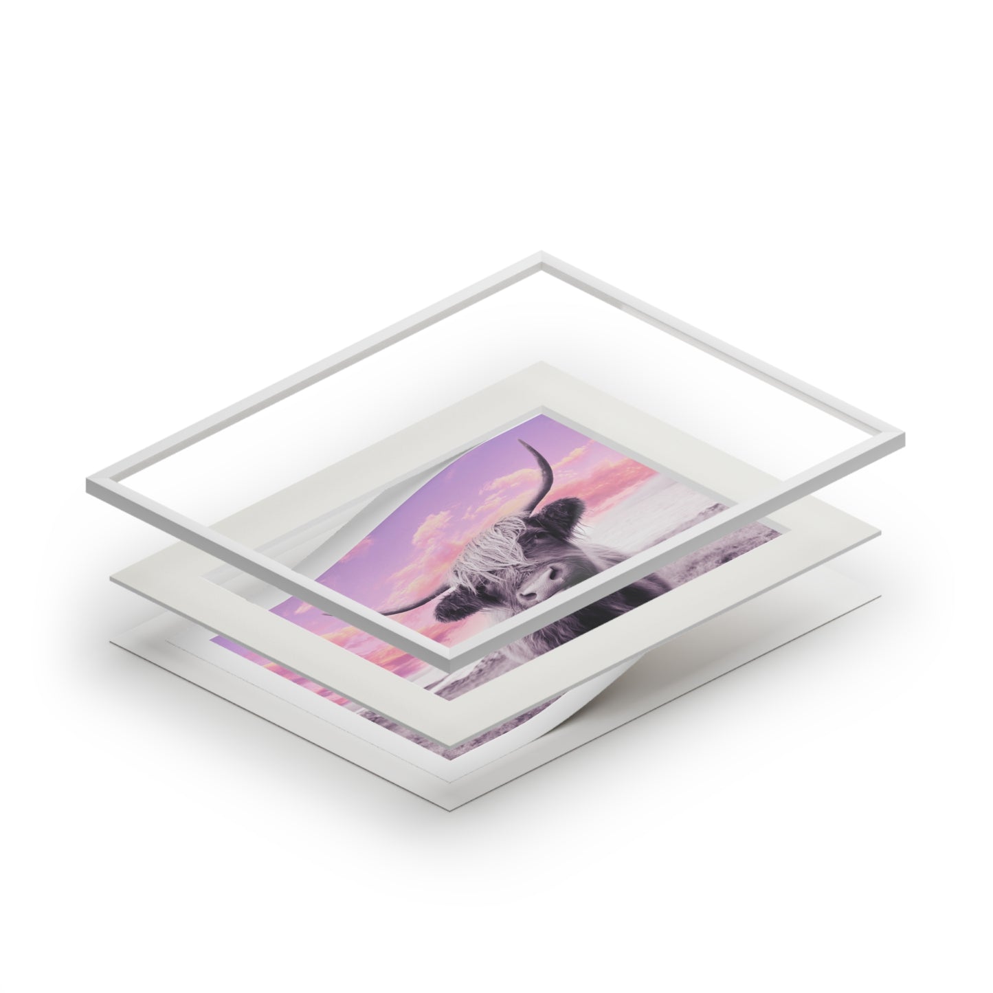 Highland Cow Fine Art Print with Passepartout — Pastel Sunrise Wall Art